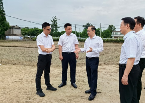 胡云赴眉山调研耕地保唬；；；；だ煤透弑曜寂┨锝ㄉ韫ぷ