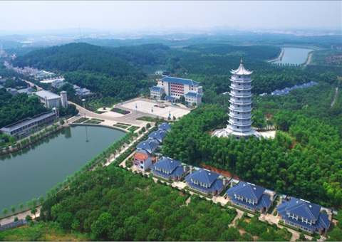 湖北：用好“一张图” ，，，，，，智治有支撑